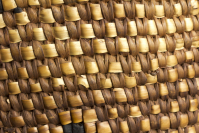 Cowlitz%20artist%2C%20%3Cb%3E%3Ci%3E%20Large%20Coiled%20Gathering%20Basket%3C%2Fi%3E%3C%2Fb%3E%2C%20ca.%201900%2C%20cedar%20root%20and%20beargrass%2C%20The%20Elizabeth%20Cole%20Butler%20Collection%2C%20no%20known%20copyright%20restrictions%2C%202012.97.11